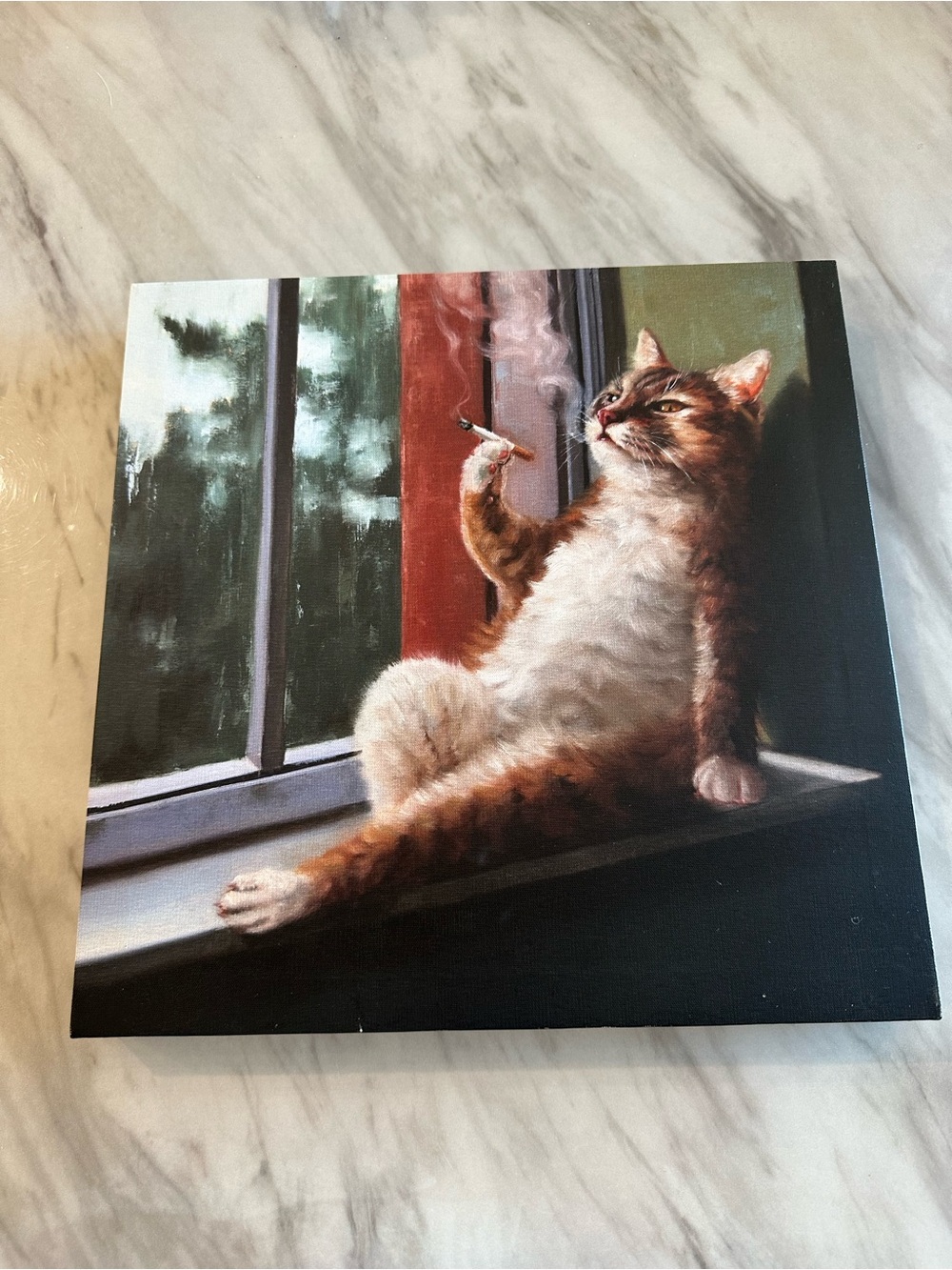 Relaxed Brown & White Cat Canvas Print – Whimsical Window Pose